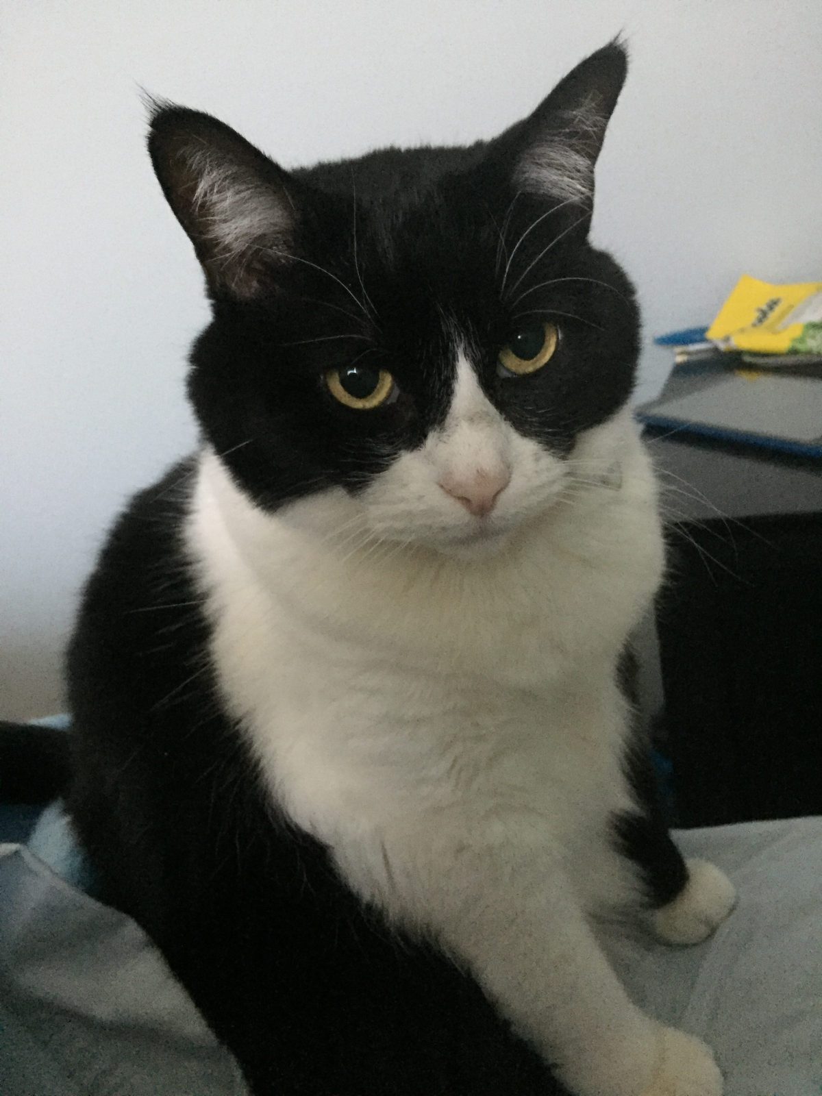 Little Rumors-not the&nbsp;music